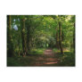 Path in the Woods Postcards