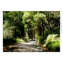 Path in woods cards