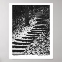 Path Less Chosen Poster