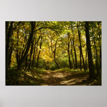 Path Print