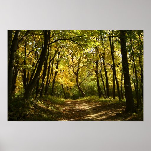 Path Print