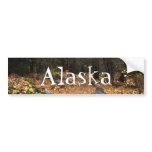 Path Through the Forest; Alaska Souvenir Bumper Sticker