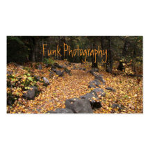 Path Through the Forest Business Card Template