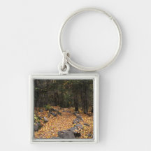 Path Through the Forest; No Text Key Chain