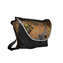 Path Through the Forest; No Text Messenger Bags
