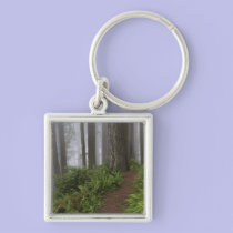 Path through the giant redwood trees shrouded keychains