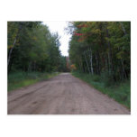 Path Through the woods Post Cards