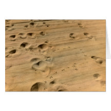 Path to Enlightenment Greeting Card