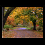 Path to Fall postcards