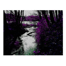 Path To The River Post Card