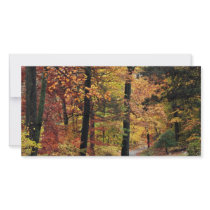 Paths Photo Card Template