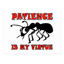 PATIENCE ANT POST CARD