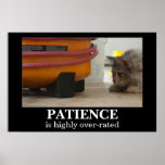 Patience Cat and Mouse Demotivational Poster posters