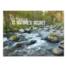 Patience is Natures Secret Photo Print