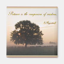 Patience is the companion of wisdom fridge magnet