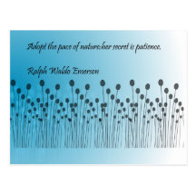 Patience Postcards