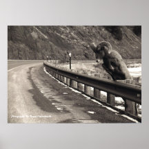 Patience Print