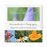 Patricia Sander's Photography Magnets