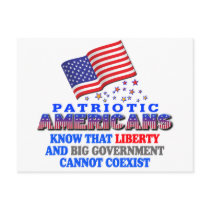 Patriotic Americans Big Government Post Cards