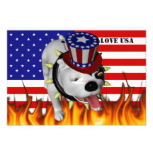 Patriotic BoBo 2 Custom Invites
