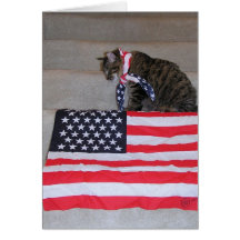 Patriotic Cat Card