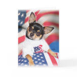 Patriotic Chihuahua greeting card