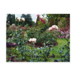 Patriotic Colours Rose Garden postcards