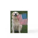 Patriotic Dog cards
