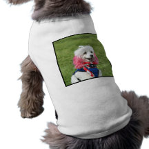 Patriotic poodle pet tshirt
