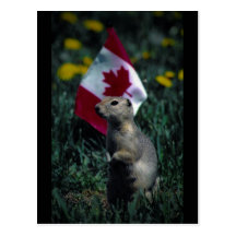 Patriotic Post Card