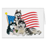 Patriotic Siberian Husky Family Greeting Cards