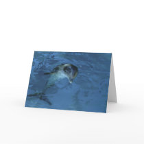 Pat's Dolphin - birthday card