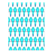 Pattern of Blue Parakeet Birds. Postcard