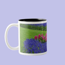Pattern of Grape Hyacinth, tulips, and mugs