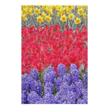 Pattern of hyacinth, tulips, and daffodils, art photo