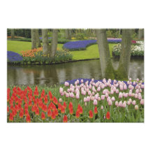 Pattern of tulips and grape hyacinth flowers, photo art