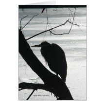 Pattern Recognition Greeting Card