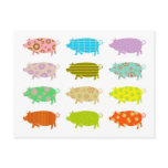 Patterned Pigs