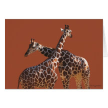 Patterns Greeting Cards