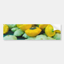 Pattypan Squash Bumper Stickers