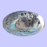 Paua Sticker stickers