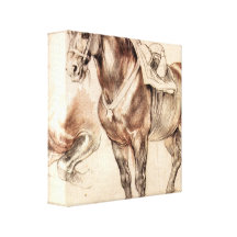 Paul Rubens - Horse studies Canvas Prints