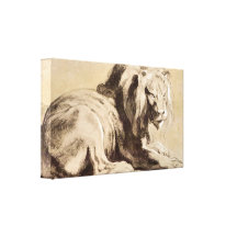 Paul Rubens - Study of a Lion Canvas Print