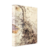 Paul Rubens - Study of Tree Stretched Canvas Prints
