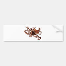 Paul The Octopus Bumper Stickers