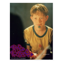 Paul The Tribe postcards