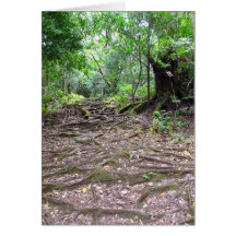Pauoa Flats Trail Card
