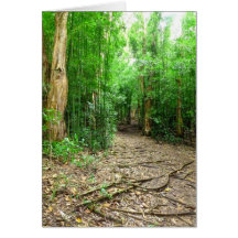 Pauoa Flats Trail Cards