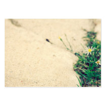 Pavement Business Card Templates