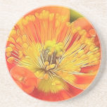 Pavot d'Islande Dessous De Verres